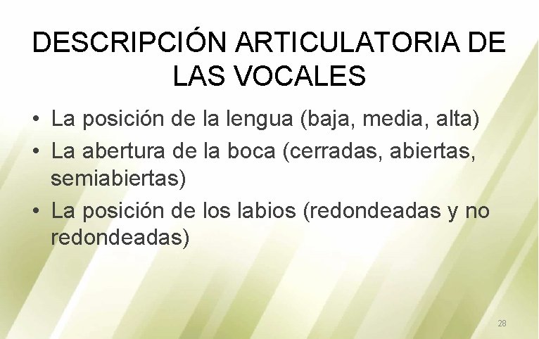 DESCRIPCIÓN ARTICULATORIA DE LAS VOCALES • La posición de la lengua (baja, media, alta)