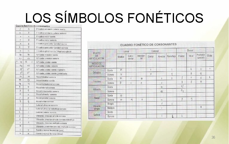 LOS SÍMBOLOS FONÉTICOS 36 