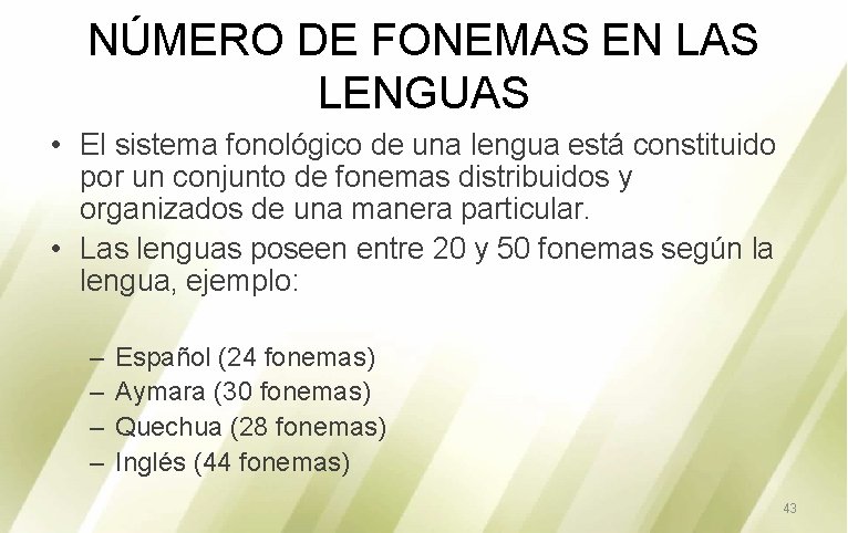 NÚMERO DE FONEMAS EN LAS LENGUAS • El sistema fonológico de una lengua está