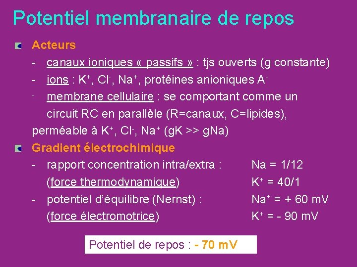 Potentiel membranaire de repos Acteurs - canaux ioniques « passifs » : tjs ouverts