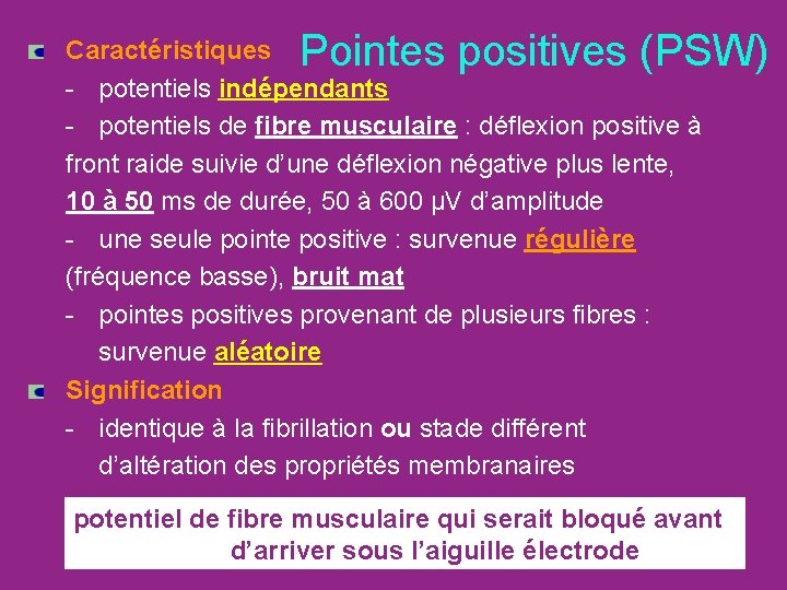  Pointes positives (PSW) Caractéristiques - potentiels indépendants - potentiels de fibre musculaire :