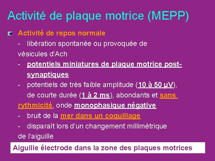 Activité de plaque motrice (MEPP) Activité de repos normale - libération spontanée ou provoquée