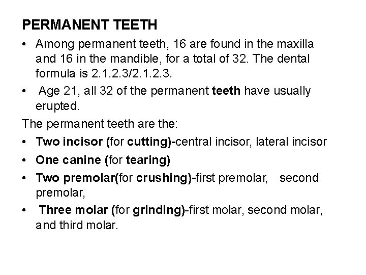 PERMANENT TEETH • Among permanent teeth, 16 are found in the maxilla and 16