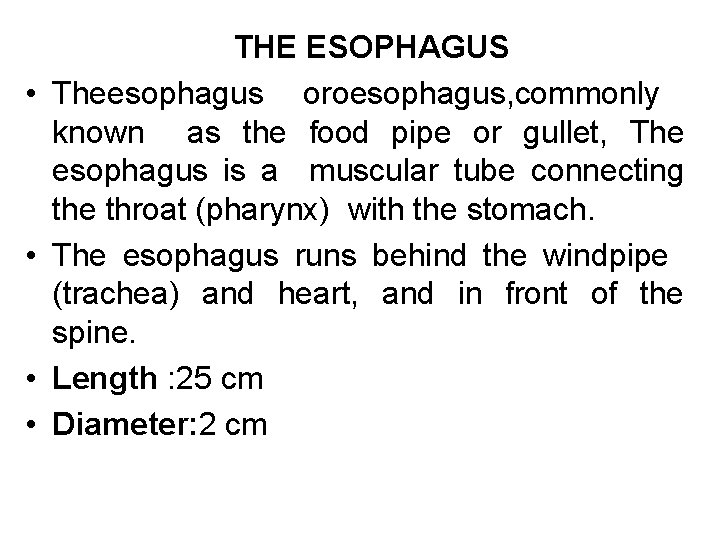  • • THE ESOPHAGUS Theesophagus oroesophagus, commonly known as the food pipe or