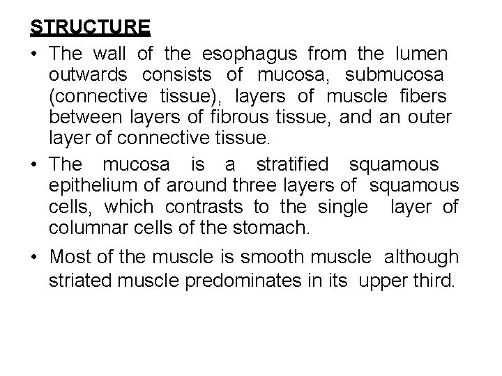 STRUCTURE • The wall of the esophagus from the lumen outwards consists of mucosa,