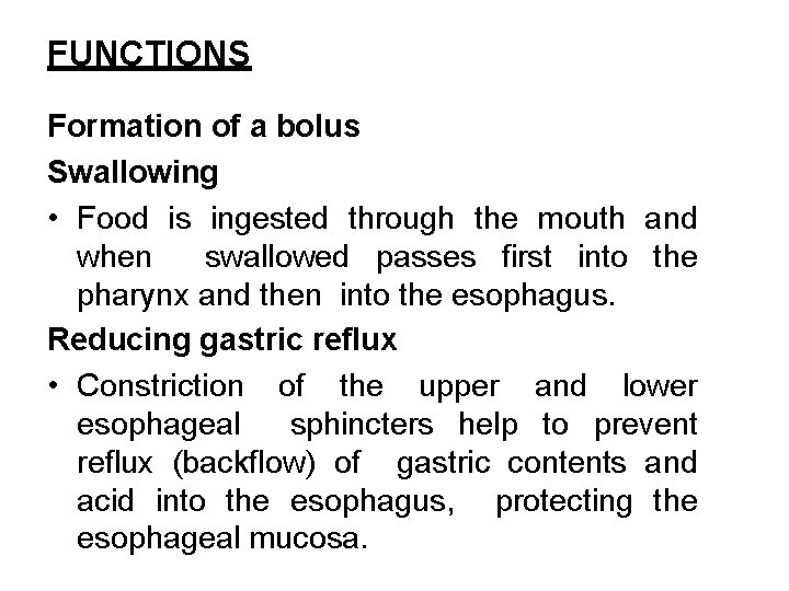FUNCTIONS Formation of a bolus Swallowing • Food is ingested through the mouth and