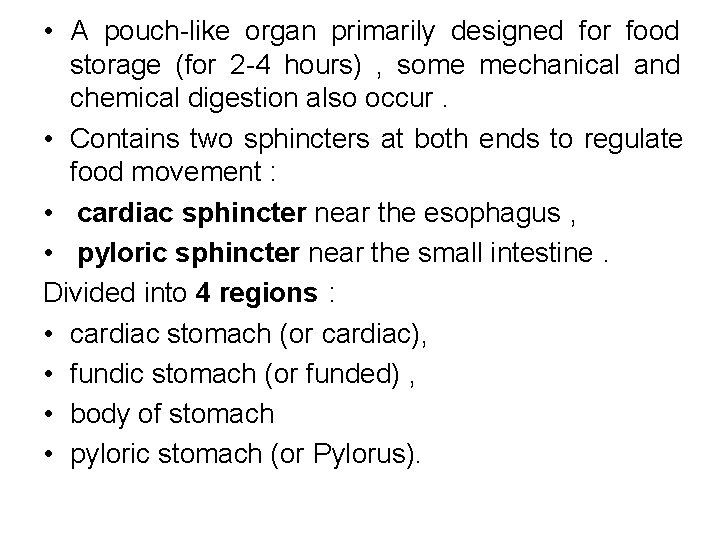  • A pouch-like organ primarily designed for food storage (for 2 -4 hours)