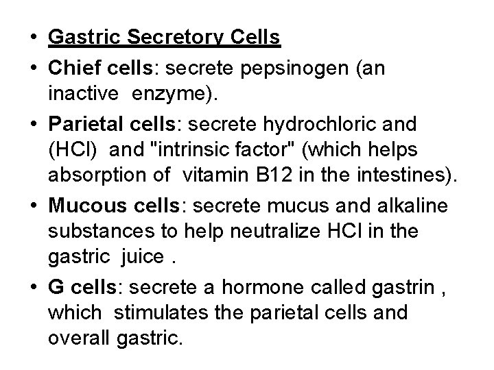  • Gastric Secretory Cells • Chief cells: secrete pepsinogen (an inactive enzyme). •