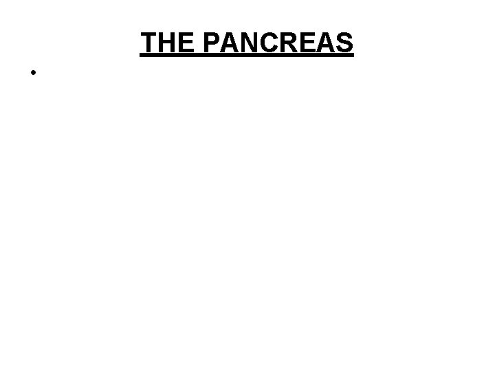 THE PANCREAS • 