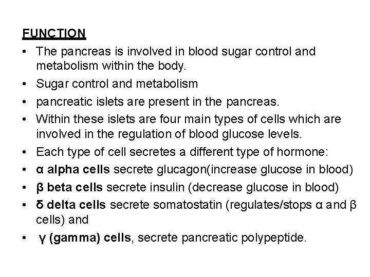 FUNCTION • The pancreas is involved in blood sugar control and metabolism within the