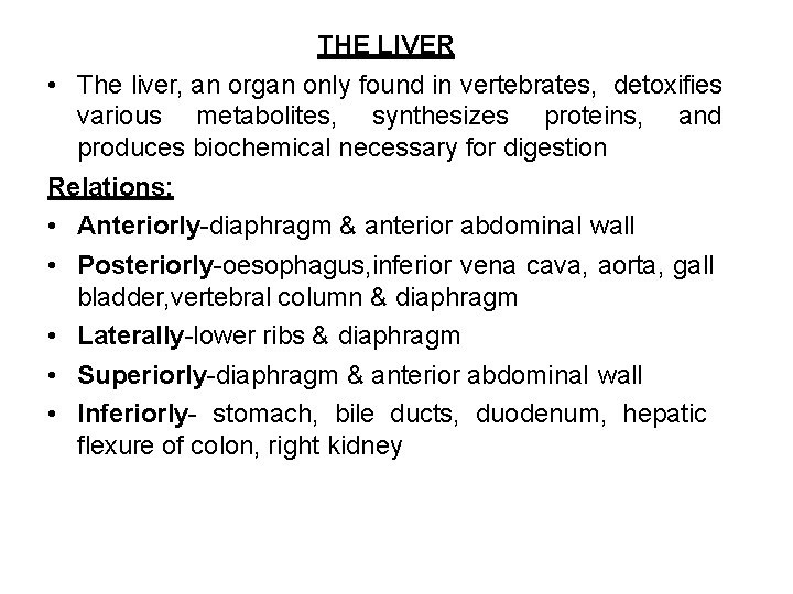 THE LIVER • The liver, an organ only found in vertebrates, detoxifies various metabolites,