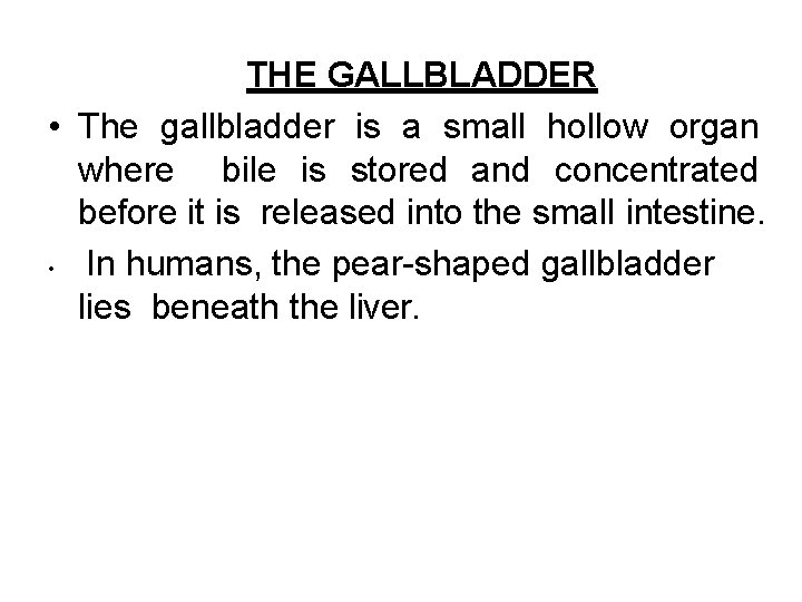 THE GALLBLADDER • The gallbladder is a small hollow organ where bile is stored