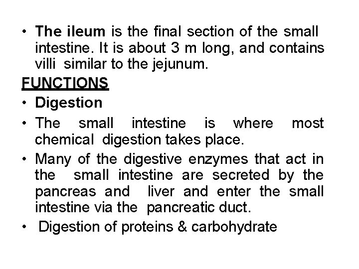  • The ileum is the final section of the small intestine. It is
