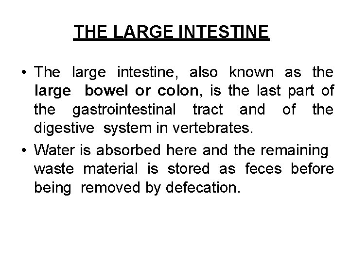 THE LARGE INTESTINE • The large intestine, also known as the large bowel or