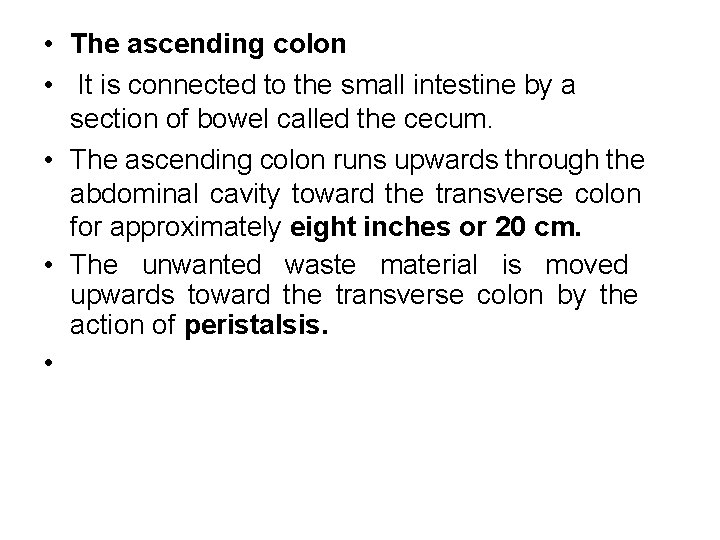  • The ascending colon • It is connected to the small intestine by
