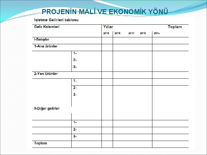 PROJENİN MALİ VE EKONOMİK YÖNÜ 