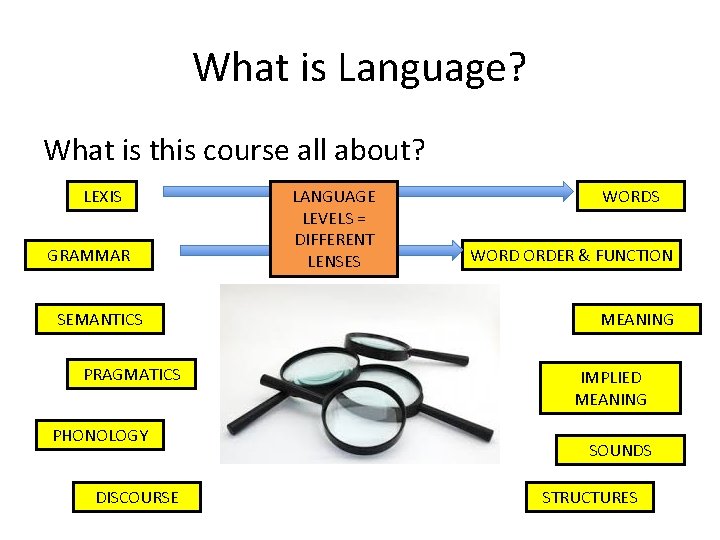 What is Language? What is this course all about? LEXIS GRAMMAR SEMANTICS PRAGMATICS PHONOLOGY What is Language? What is this course all about? LEXIS GRAMMAR SEMANTICS PRAGMATICS PHONOLOGY