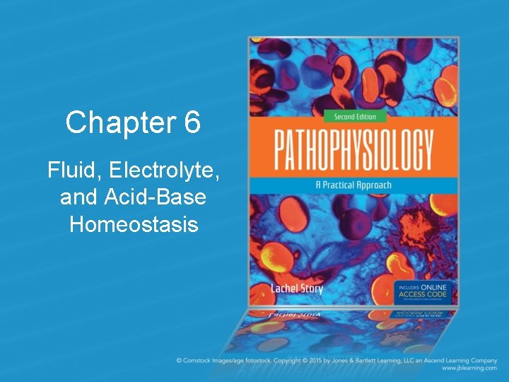 Chapter 6 Fluid, Electrolyte, and Acid-Base Homeostasis 