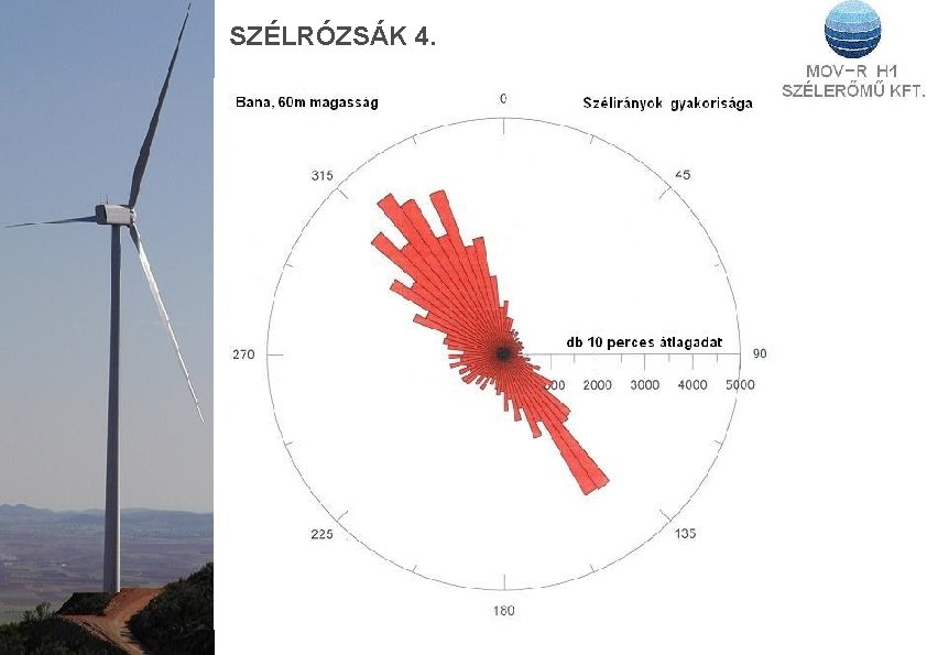 SZÉLRÓZSÁK 4. 
