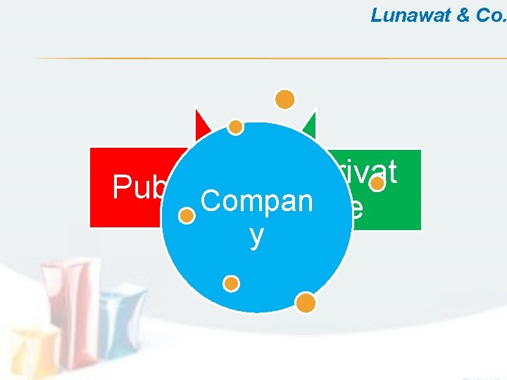 Lunawat & Co. Privat Public. Compan e y 