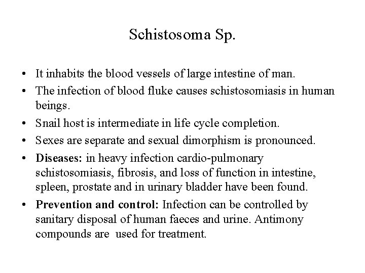 Schistosoma Sp. • It inhabits the blood vessels of large intestine of man. • Schistosoma Sp. • It inhabits the blood vessels of large intestine of man. •
