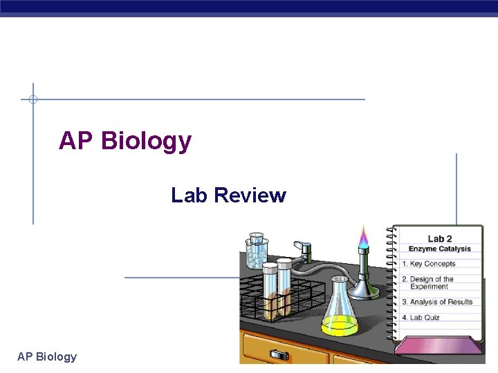 AP Biology Lab Review AP Biology 