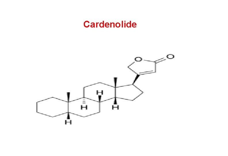 Cardenolide Cardenolide