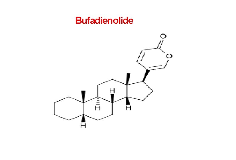 Bufadienolide Bufadienolide