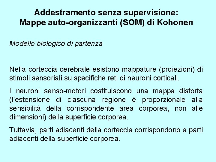 Addestramento senza supervisione: Mappe auto-organizzanti (SOM) di Kohonen Modello biologico di partenza Nella corteccia