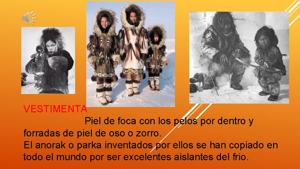 VESTIMENTA Piel de foca con los pelos por dentro y forradas de piel de