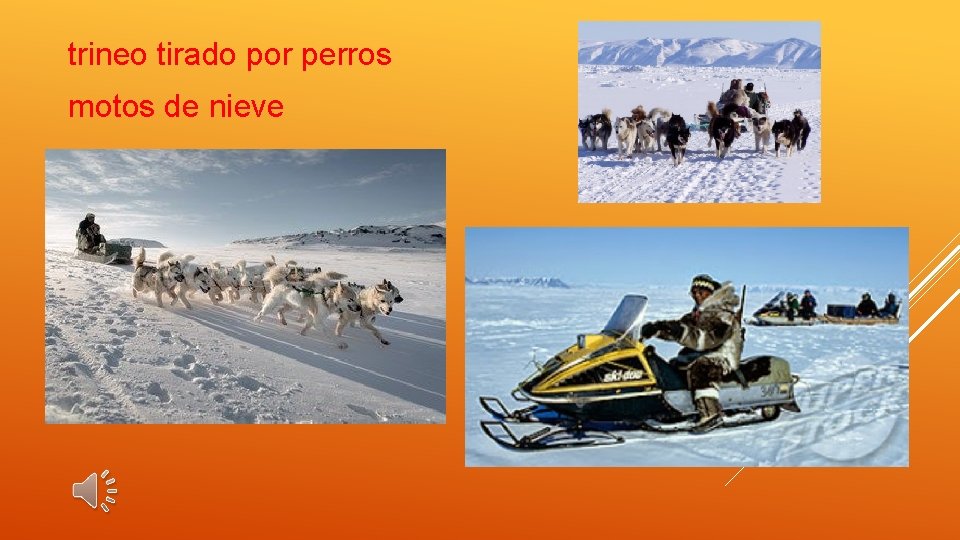 trineo tirado por perros motos de nieve 