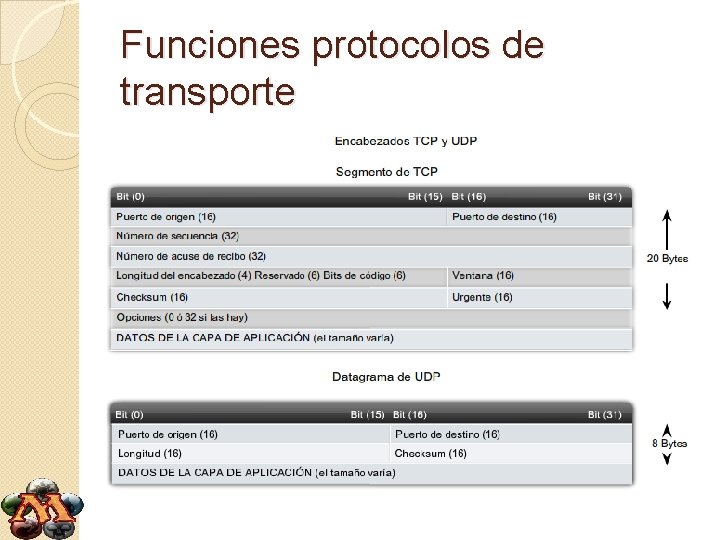 Funciones protocolos de transporte 