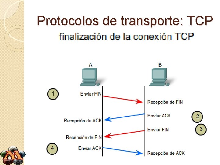 Protocolos de transporte: TCP 