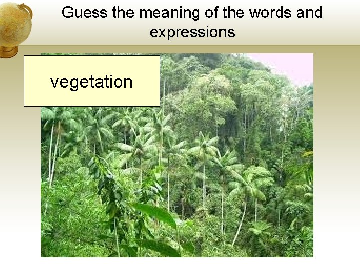 Guess the meaning of the words and expressions vegetation Guess the meaning of the words and expressions vegetation