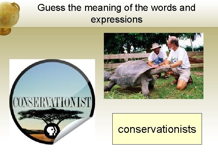 Guess the meaning of the words and expressions conservationists Guess the meaning of the words and expressions conservationists