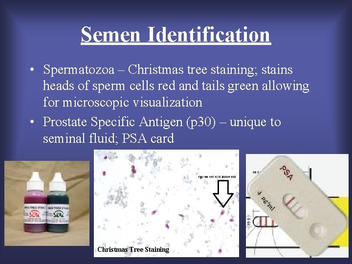 To stains how detect sperm CheckMate UV