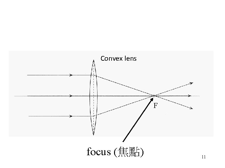 Convex lens F focus (焦點) 11 