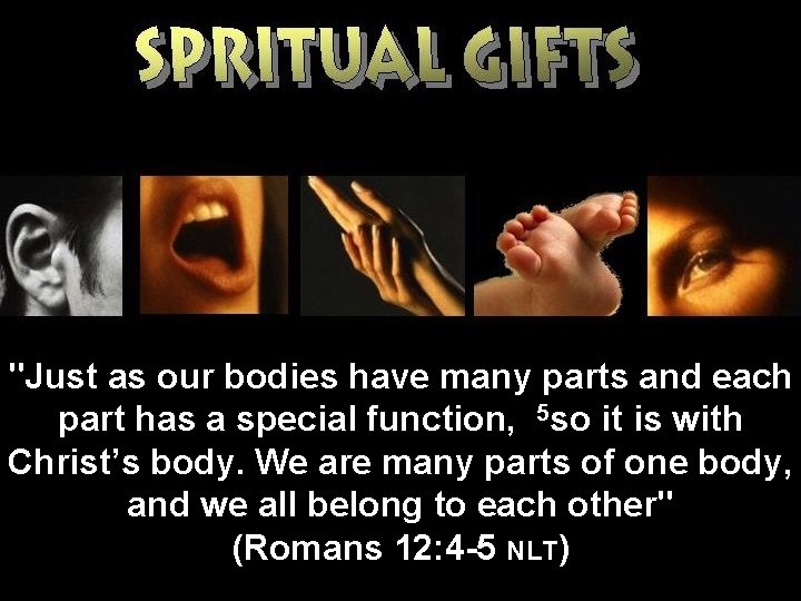 "Just as our bodies have many parts and each part has a special function,