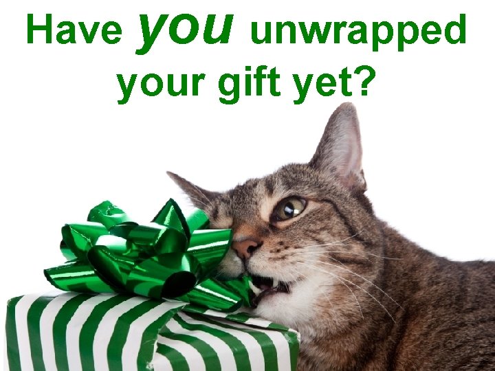 Have you unwrapped your gift yet? 