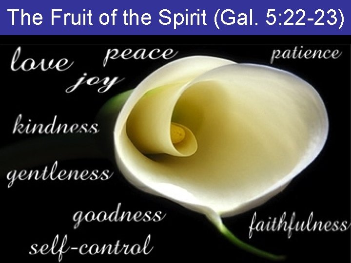 The Fruit of the Spirit (Gal. 5: 22 -23) 