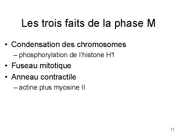 Les trois faits de la phase M • Condensation des chromosomes – phosphorylation de