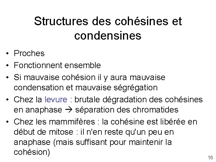 Structures des cohésines et condensines • Proches • Fonctionnent ensemble • Si mauvaise cohésion