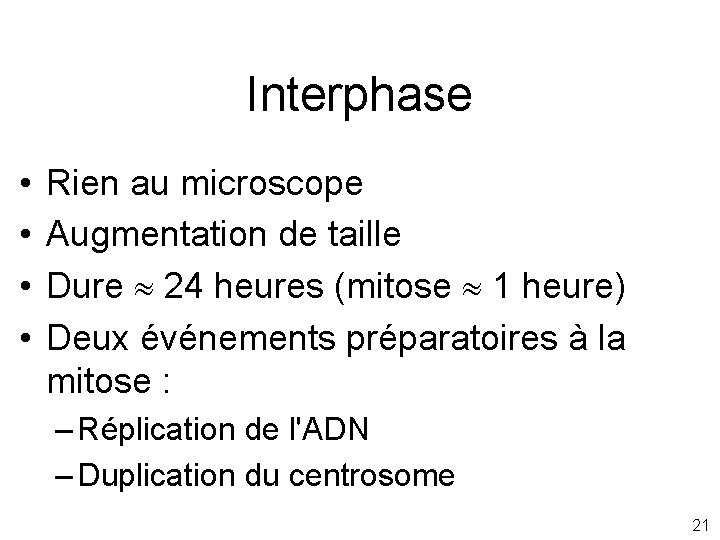 Interphase • • Rien au microscope Augmentation de taille Dure 24 heures (mitose 1