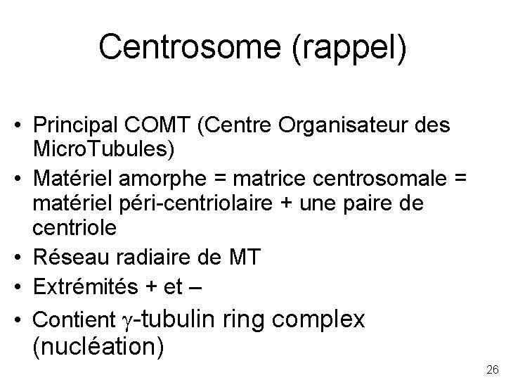 Centrosome (rappel) • Principal COMT (Centre Organisateur des Micro. Tubules) • Matériel amorphe =