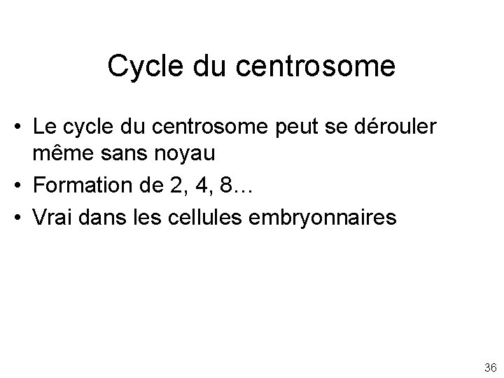 Cycle du centrosome • Le cycle du centrosome peut se dérouler même sans noyau