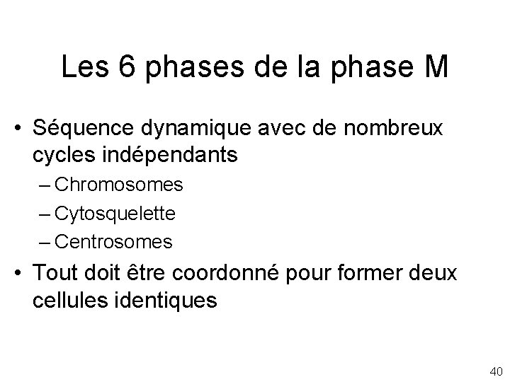 Les 6 phases de la phase M • Séquence dynamique avec de nombreux cycles