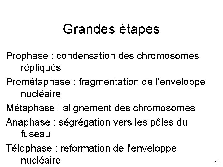 Grandes étapes Prophase : condensation des chromosomes répliqués Prométaphase : fragmentation de l'enveloppe nucléaire