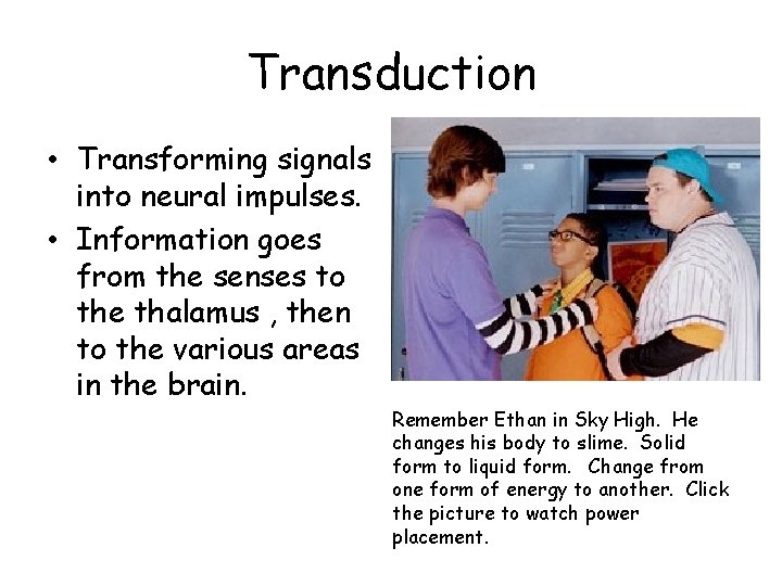 Transduction • Transforming signals into neural impulses. • Information goes from the senses to