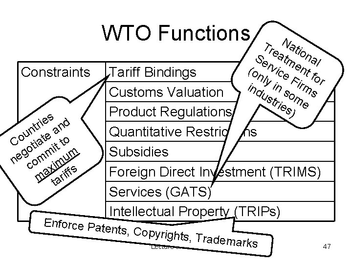 WTO Functions Constraints s e i r t and n u te o C