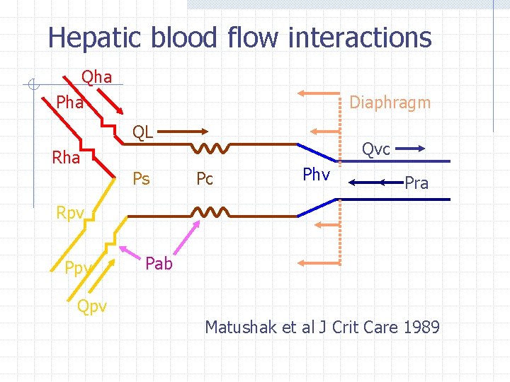 Hepatic blood flow interactions Qha Pha Diaphragm QL Qvc Rha Ps Pc Phv Pra Hepatic blood flow interactions Qha Pha Diaphragm QL Qvc Rha Ps Pc Phv Pra